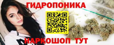 ECSTASY Донской