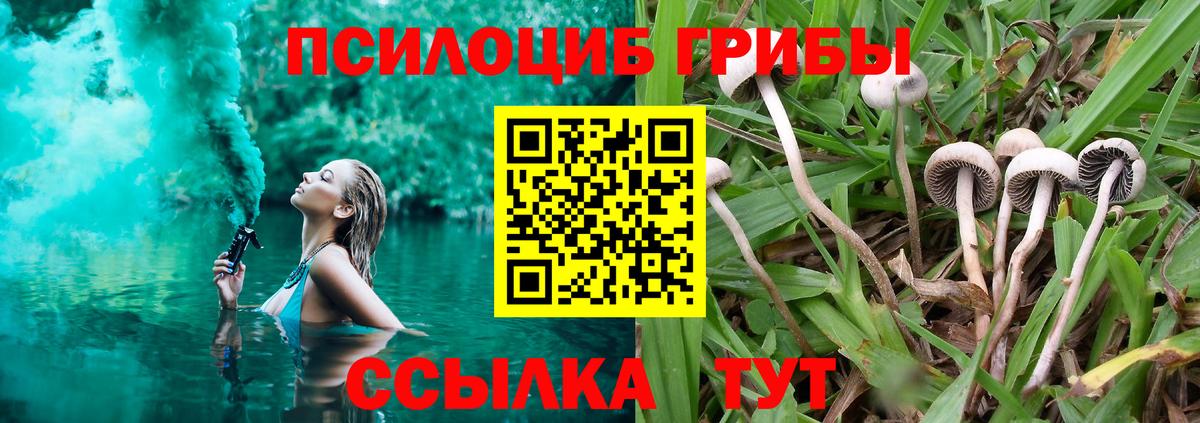 Псилоцибиновые грибы Magic Shrooms Москва