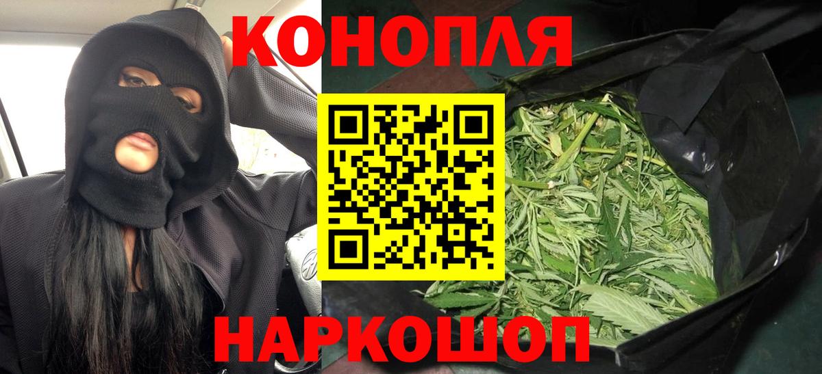 Марихуана планчик  Бошки Шишки AK-47  Бошки Шишки планчик  Вход с VPN  Канабис OG Kush  Москва 